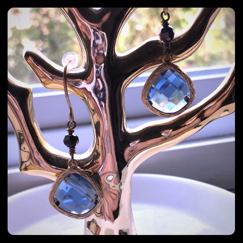 Blue Translucent Dangling Earrings